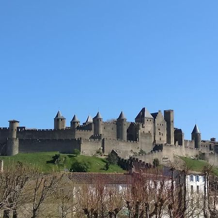 Appartement Carcassonnais Avec Parking Carcassonne Bagian luar foto
