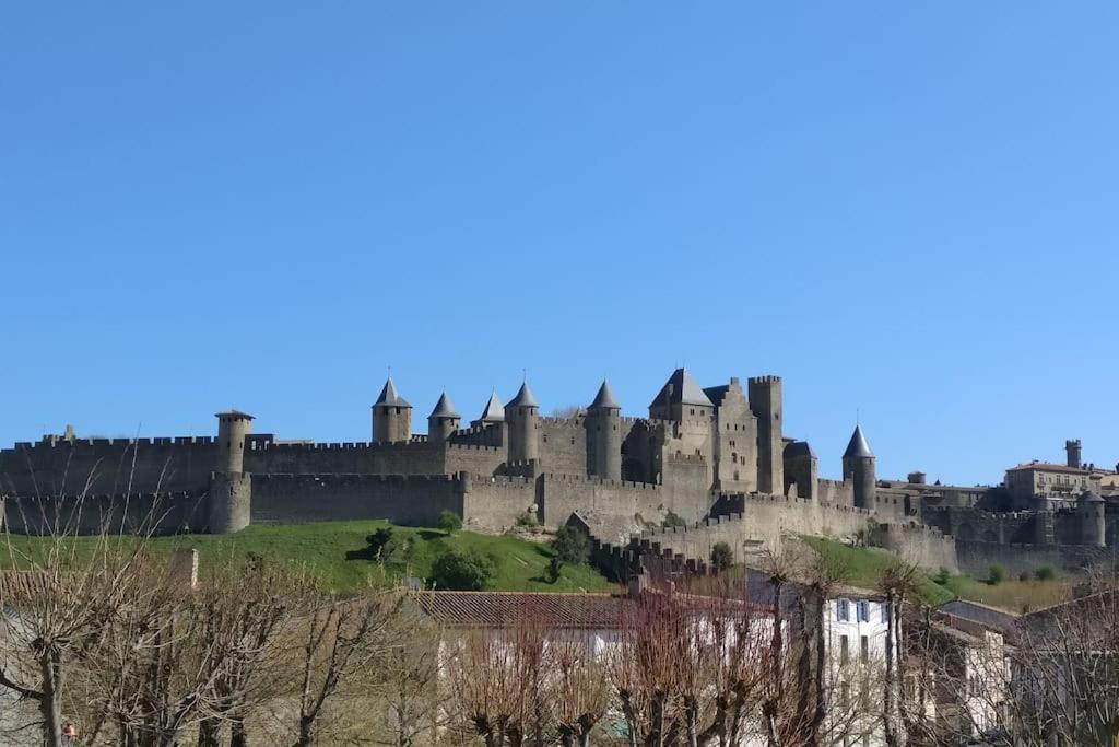 Appartement Carcassonnais Avec Parking Carcassonne Bagian luar foto