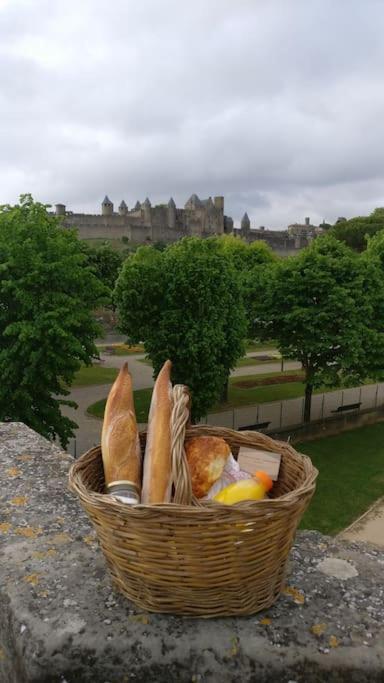 Appartement Carcassonnais Avec Parking Carcassonne Bagian luar foto